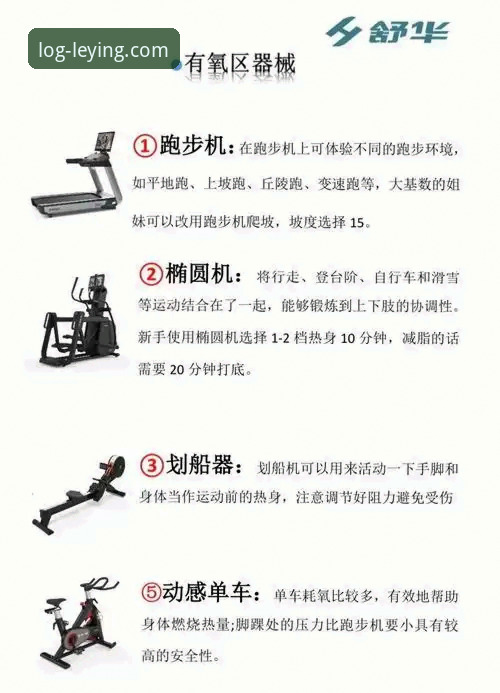 乐盈体育平台官网必备功能详解与使用指南